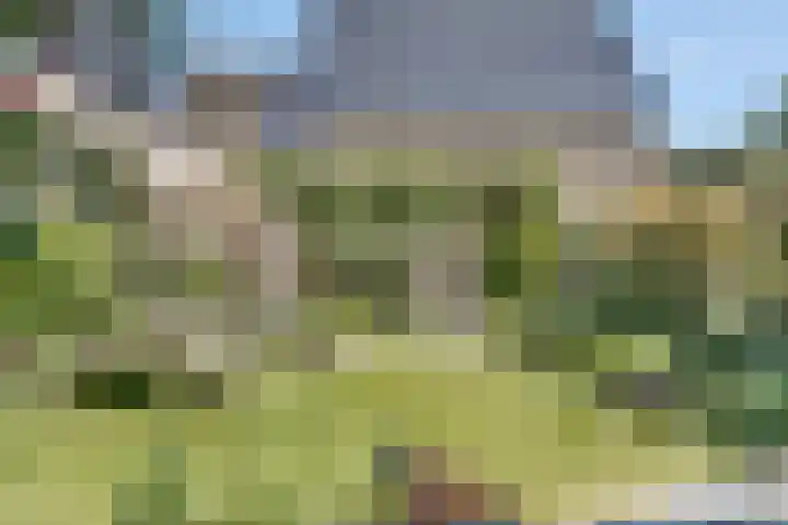 Kievitsbloem 32 Reeuwijk thumbnail 52