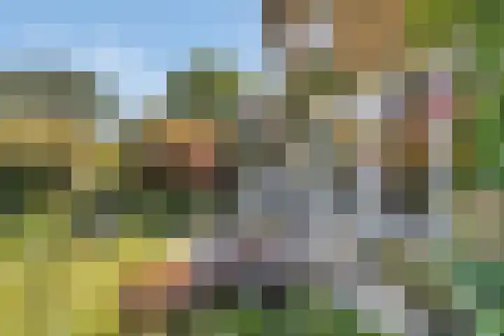 Kievitsbloem 32 Reeuwijk thumbnail 54