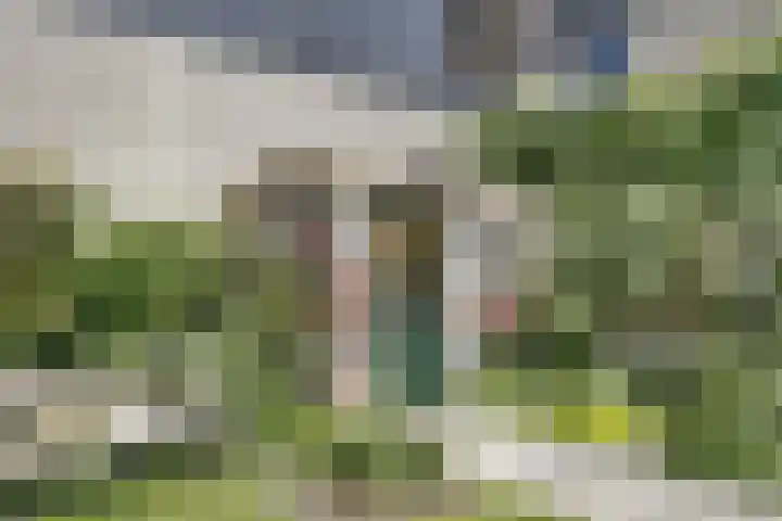 Kievitsbloem 32 Reeuwijk thumbnail 55