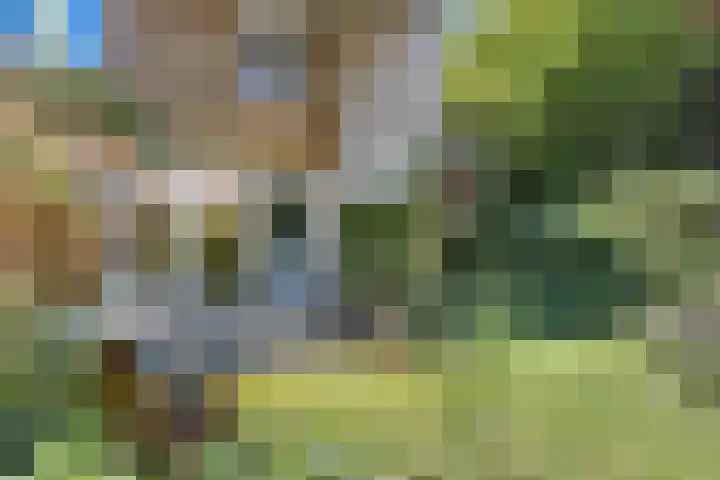 Kievitsbloem 32 Reeuwijk thumbnail 56