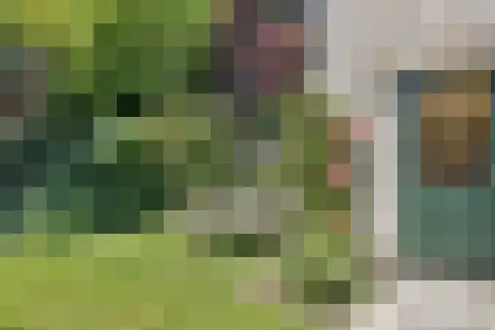 Kievitsbloem 32 Reeuwijk thumbnail 57