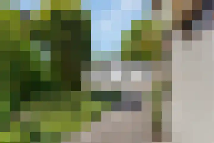 Kievitsbloem 32 Reeuwijk thumbnail 58