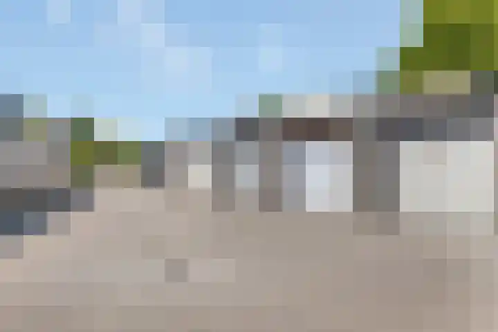 Kievitsbloem 32 Reeuwijk thumbnail 59