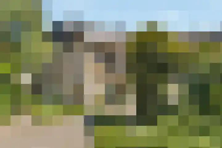 Kievitsbloem 32 Reeuwijk thumbnail 6
