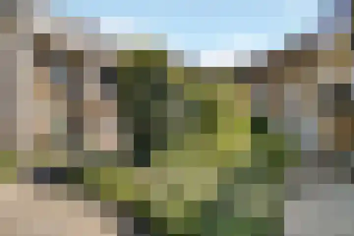 Kievitsbloem 32 Reeuwijk thumbnail 7