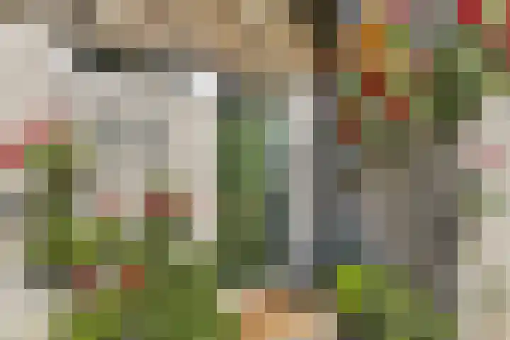 Kievitsbloem 32 Reeuwijk thumbnail 8