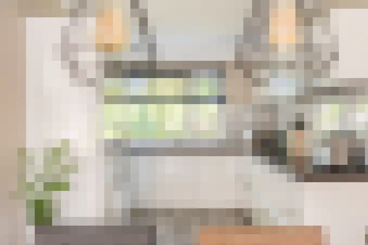 Kievitsbloem 42 Nootdorp thumbnail 10
