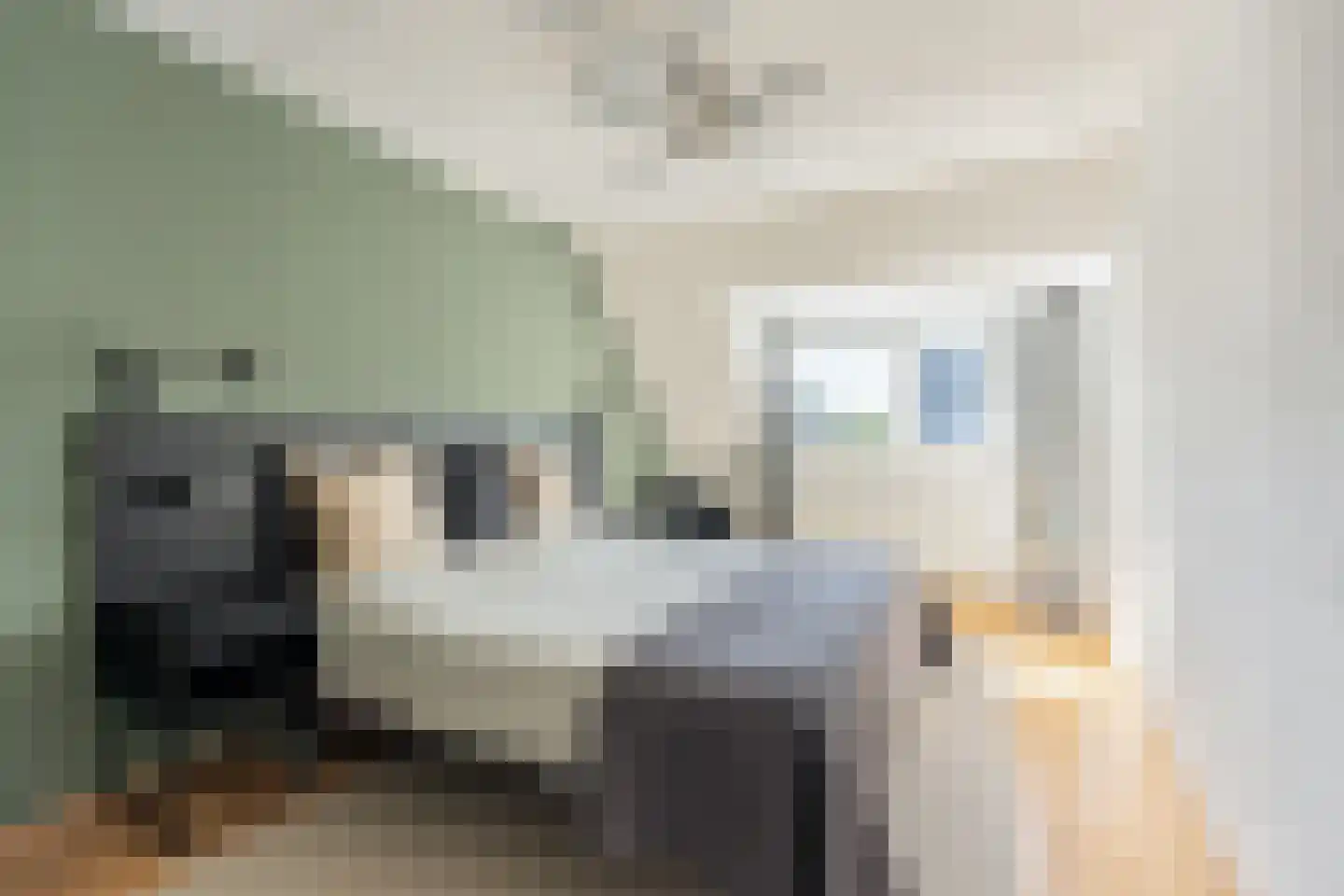 Kievitsbloem 42 Nootdorp thumbnail 16