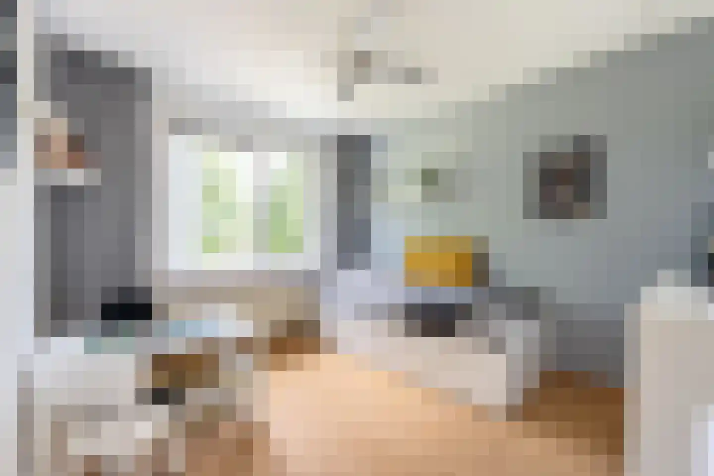 Kievitsbloem 42 Nootdorp thumbnail 18