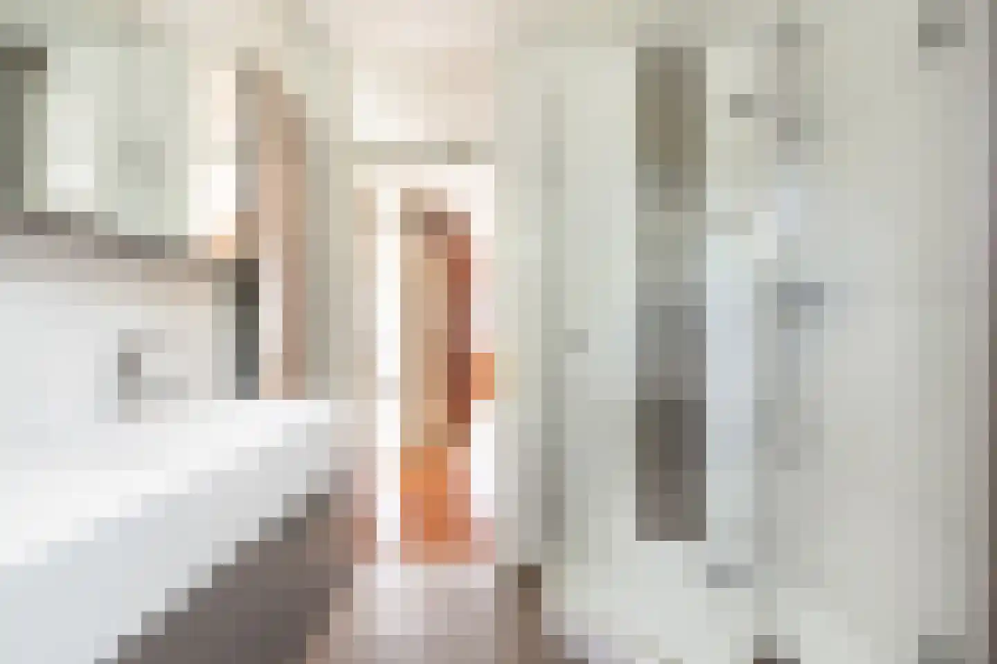 Kievitsbloem 42 Nootdorp thumbnail 21
