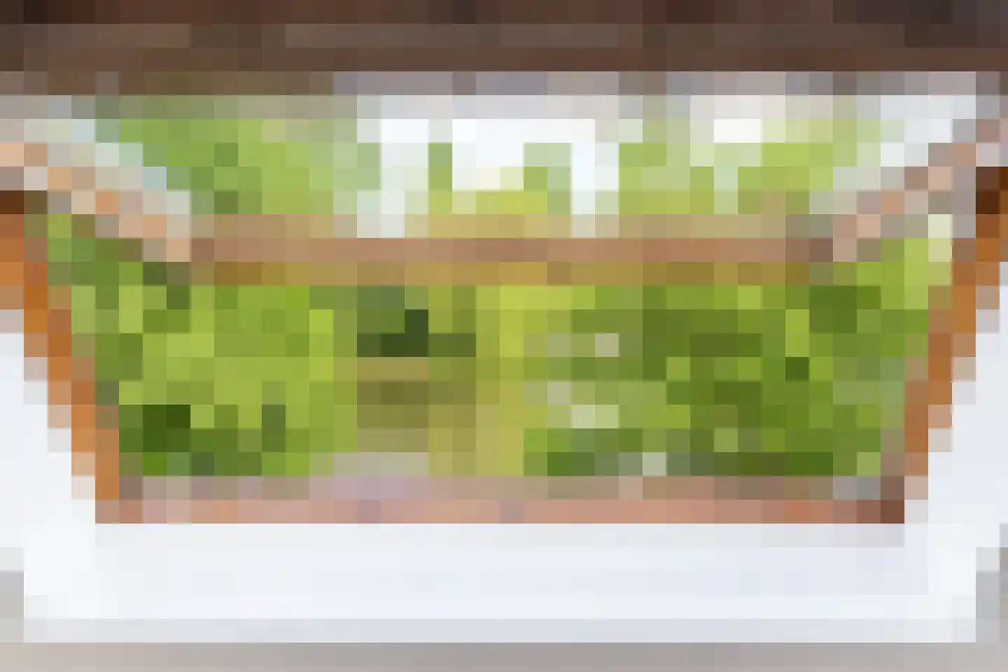 Kievitsbloem 42 Nootdorp thumbnail 25