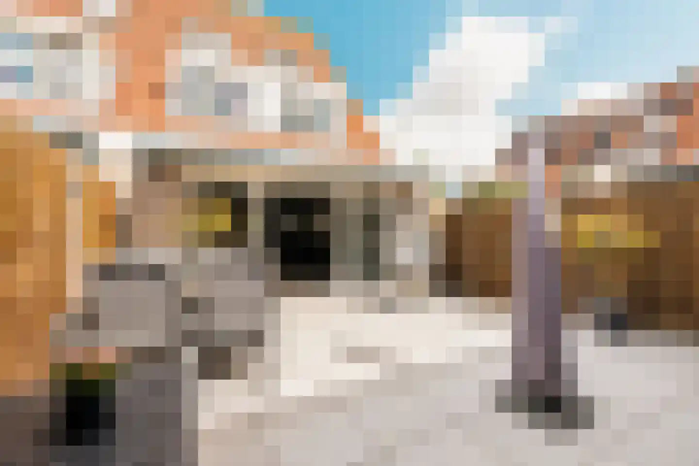 Kievitsbloem 42 Nootdorp thumbnail 27