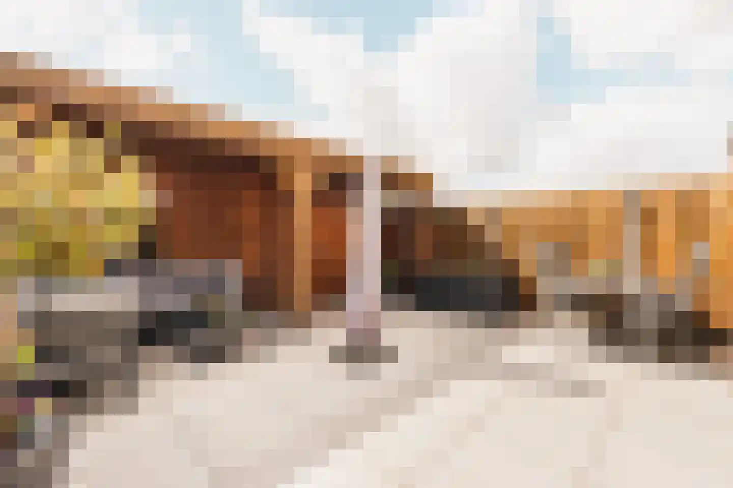 Kievitsbloem 42 Nootdorp thumbnail 29