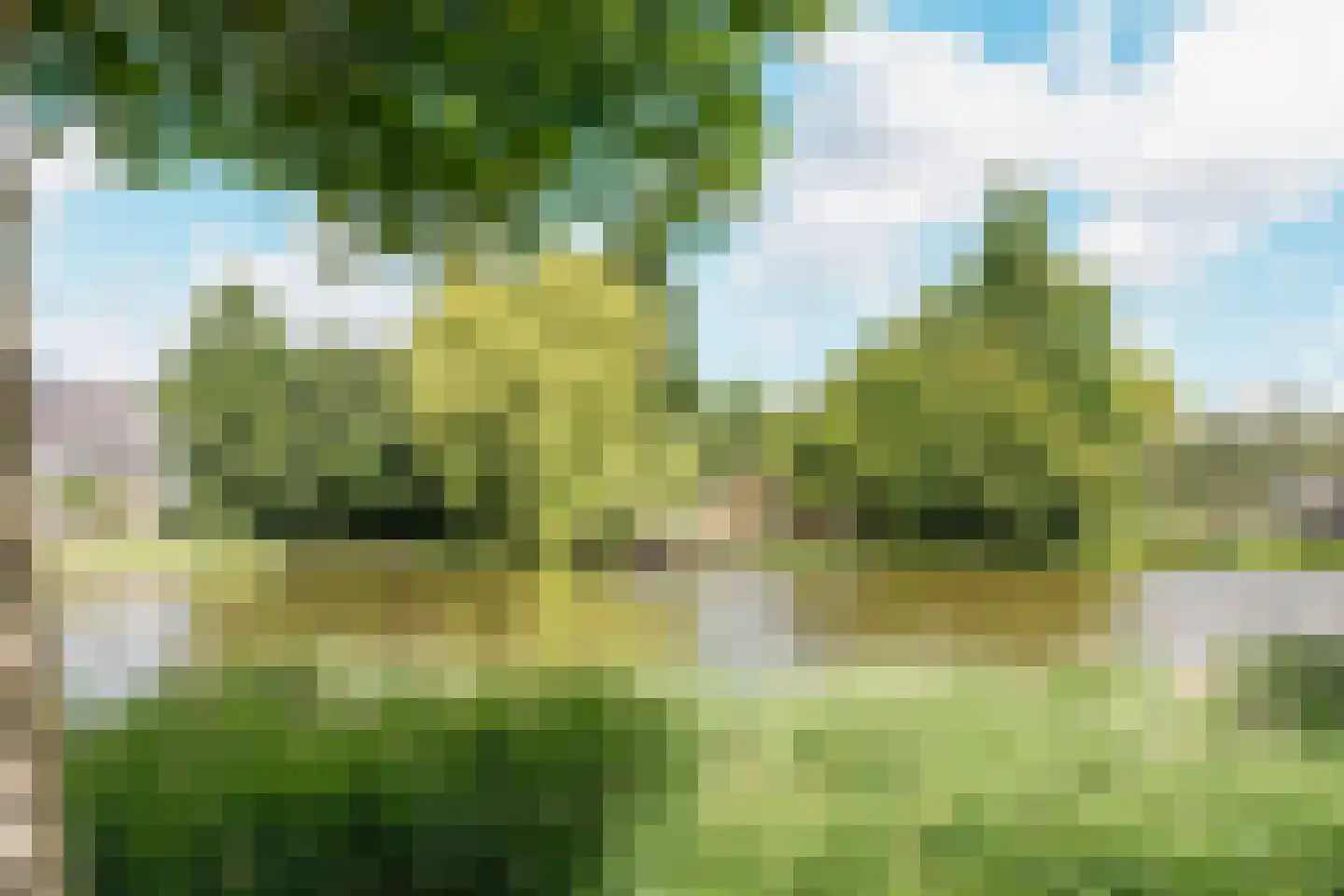 Kievitsbloem 42 Nootdorp thumbnail 31