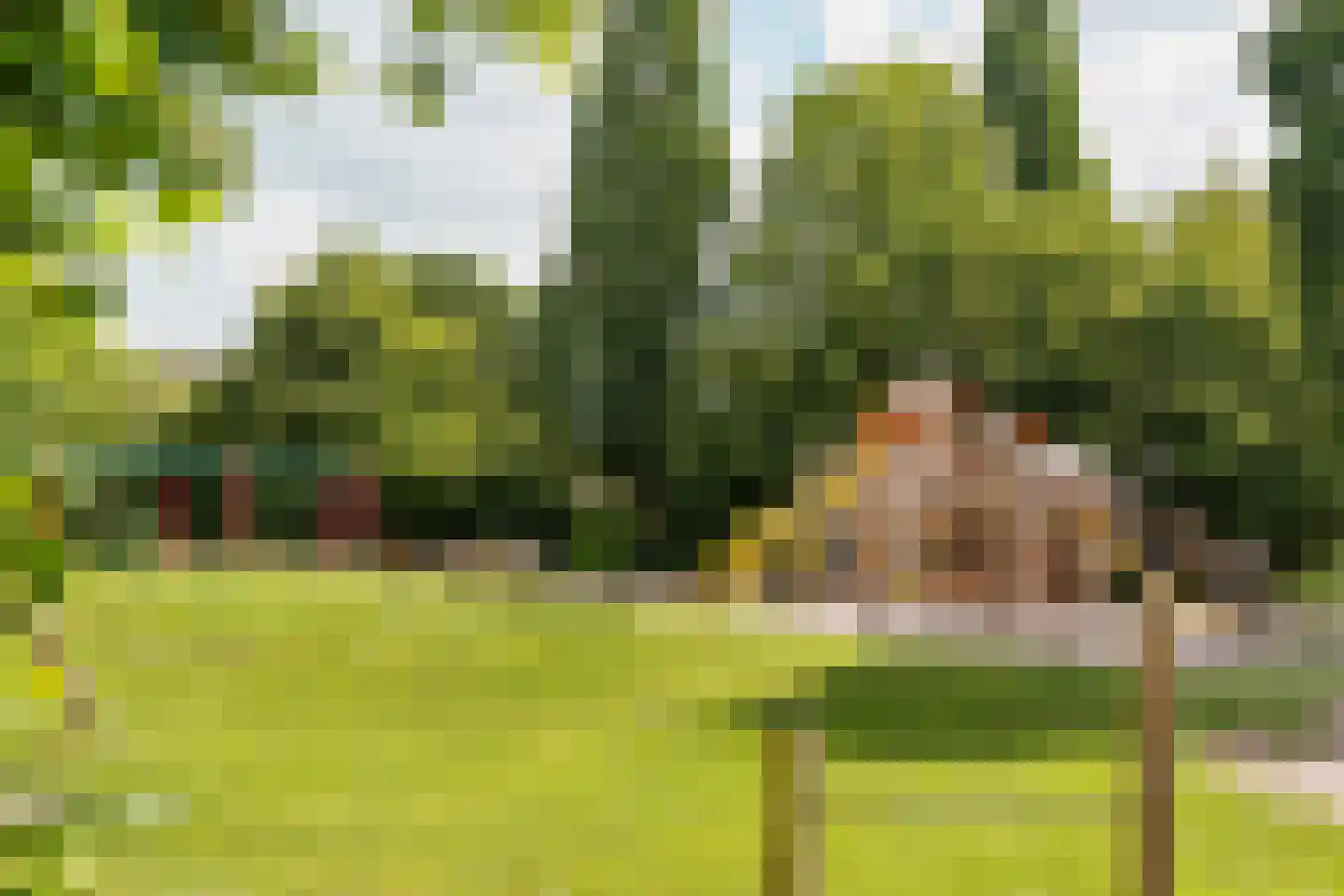 Kievitsbloem 42 Nootdorp thumbnail 32