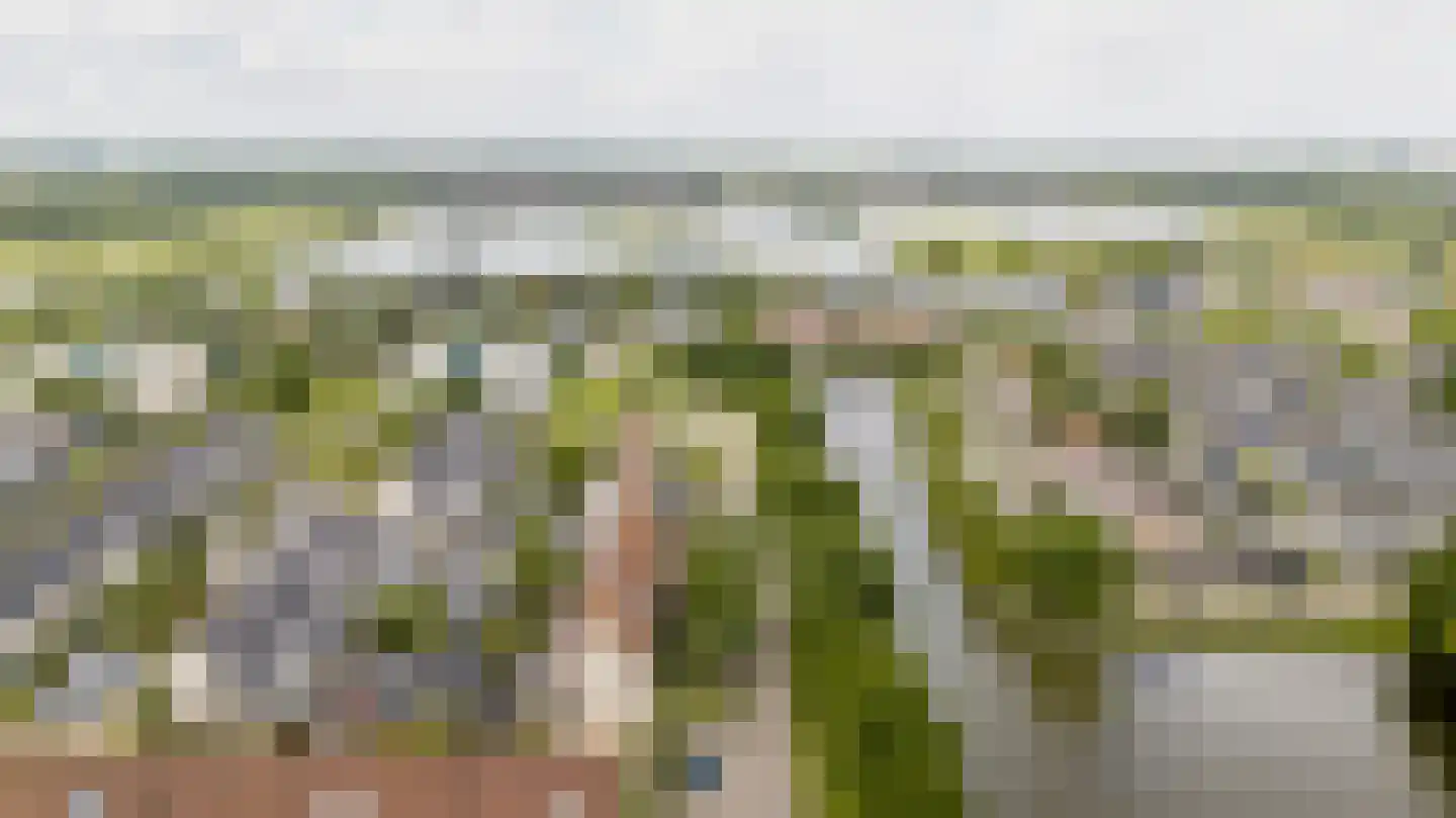 Kievitsbloem 42 Nootdorp thumbnail 33