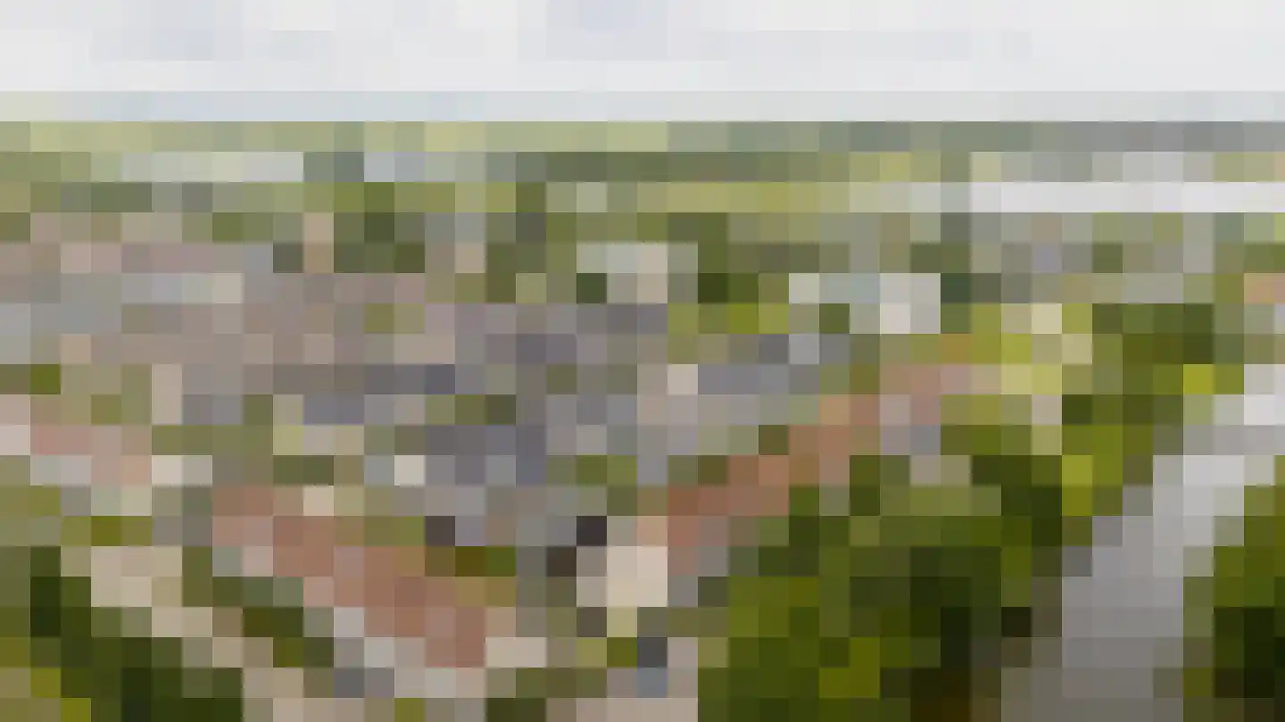 Kievitsbloem 42 Nootdorp thumbnail 34