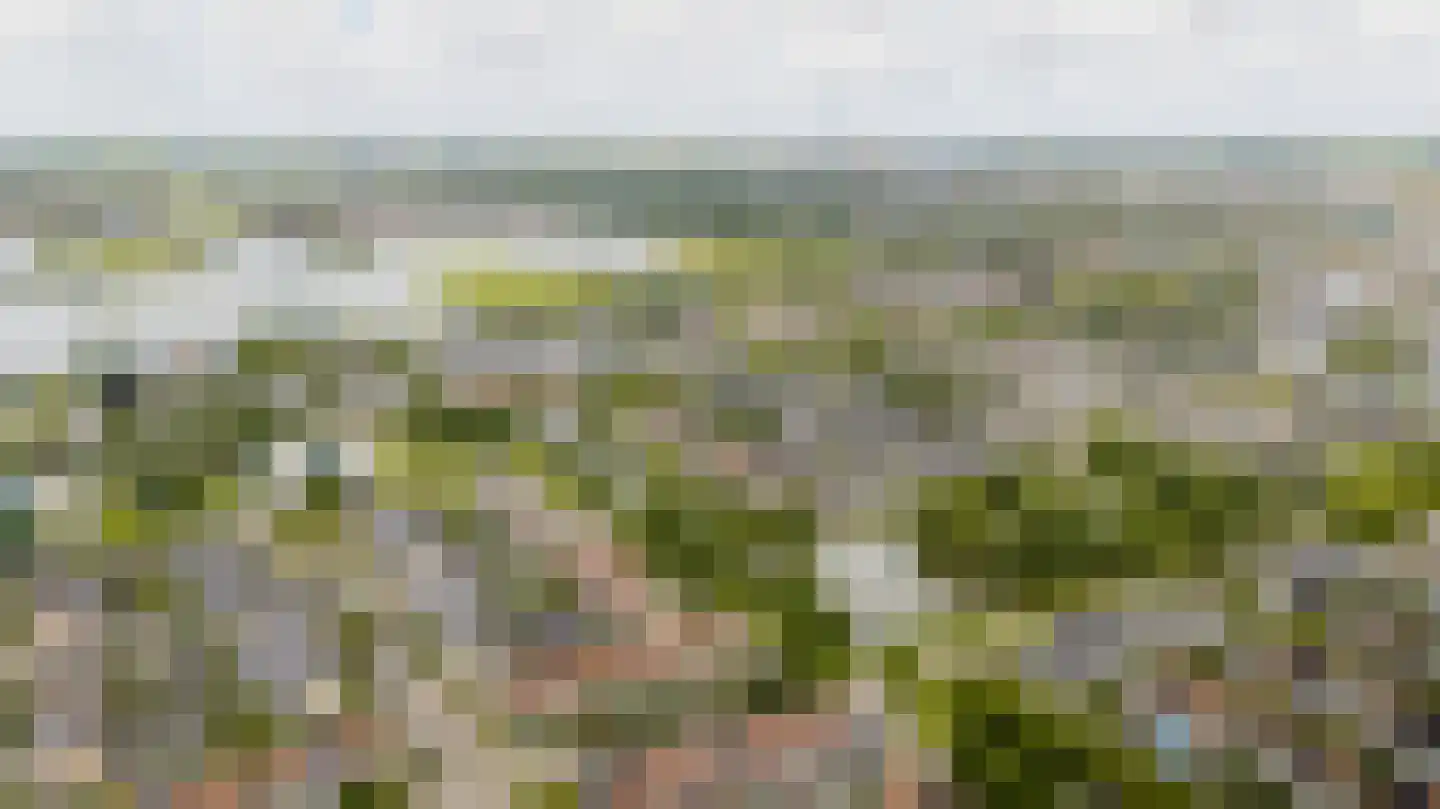 Kievitsbloem 42 Nootdorp thumbnail 35