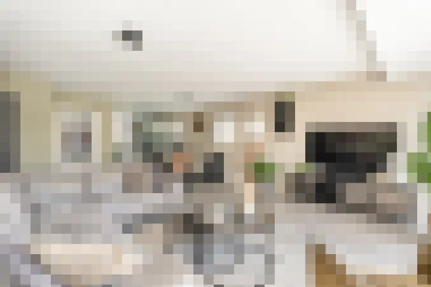 Kievitsbloem 42 Nootdorp thumbnail 6