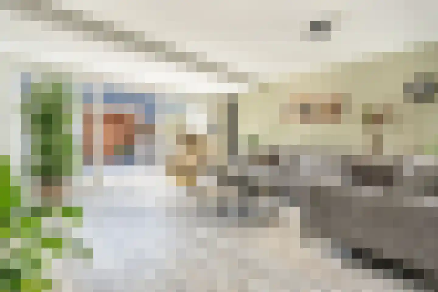 Kievitsbloem 42 Nootdorp thumbnail 7