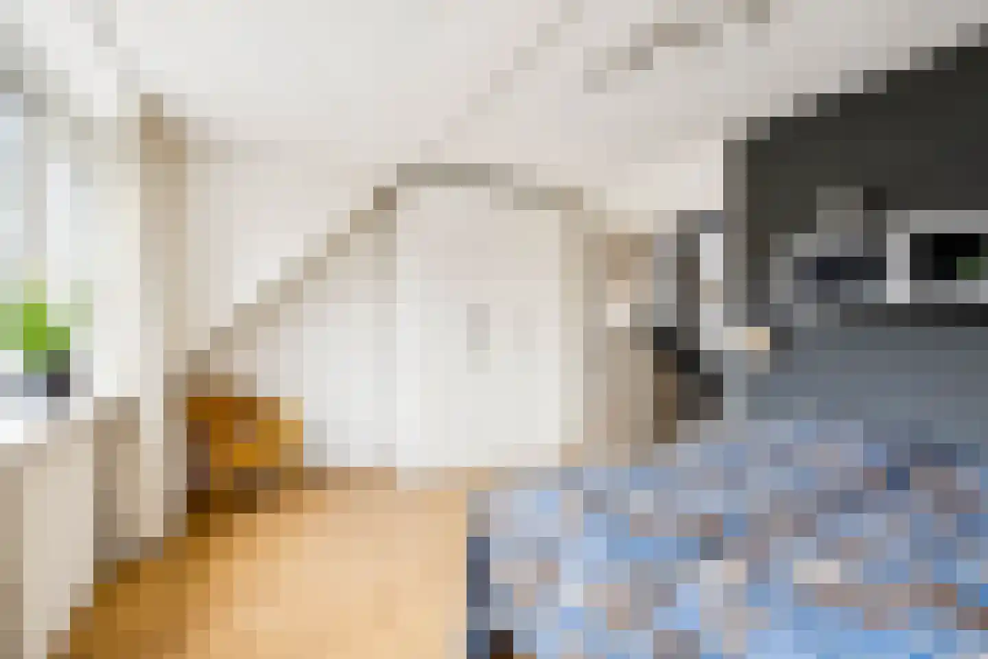 Kievitsbloem 6 Odijk thumbnail 24