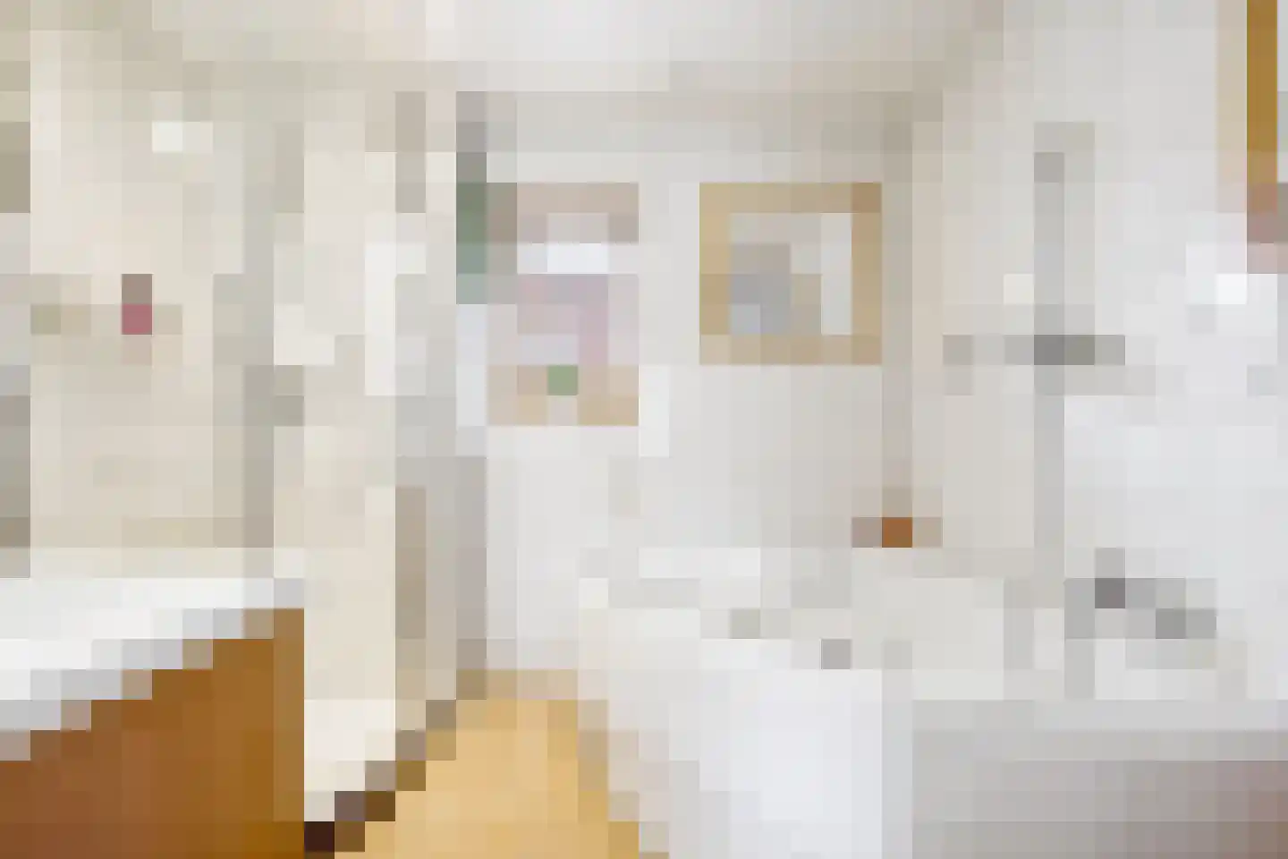 Kievitsbloem 6 Odijk thumbnail 27