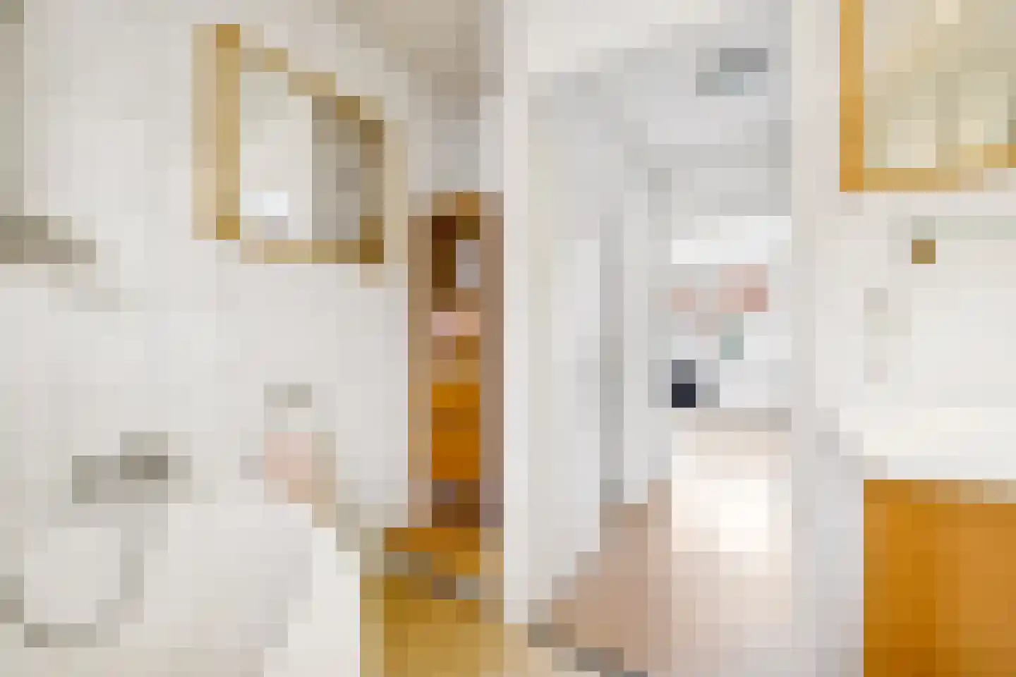 Kievitsbloem 6 Odijk thumbnail 28