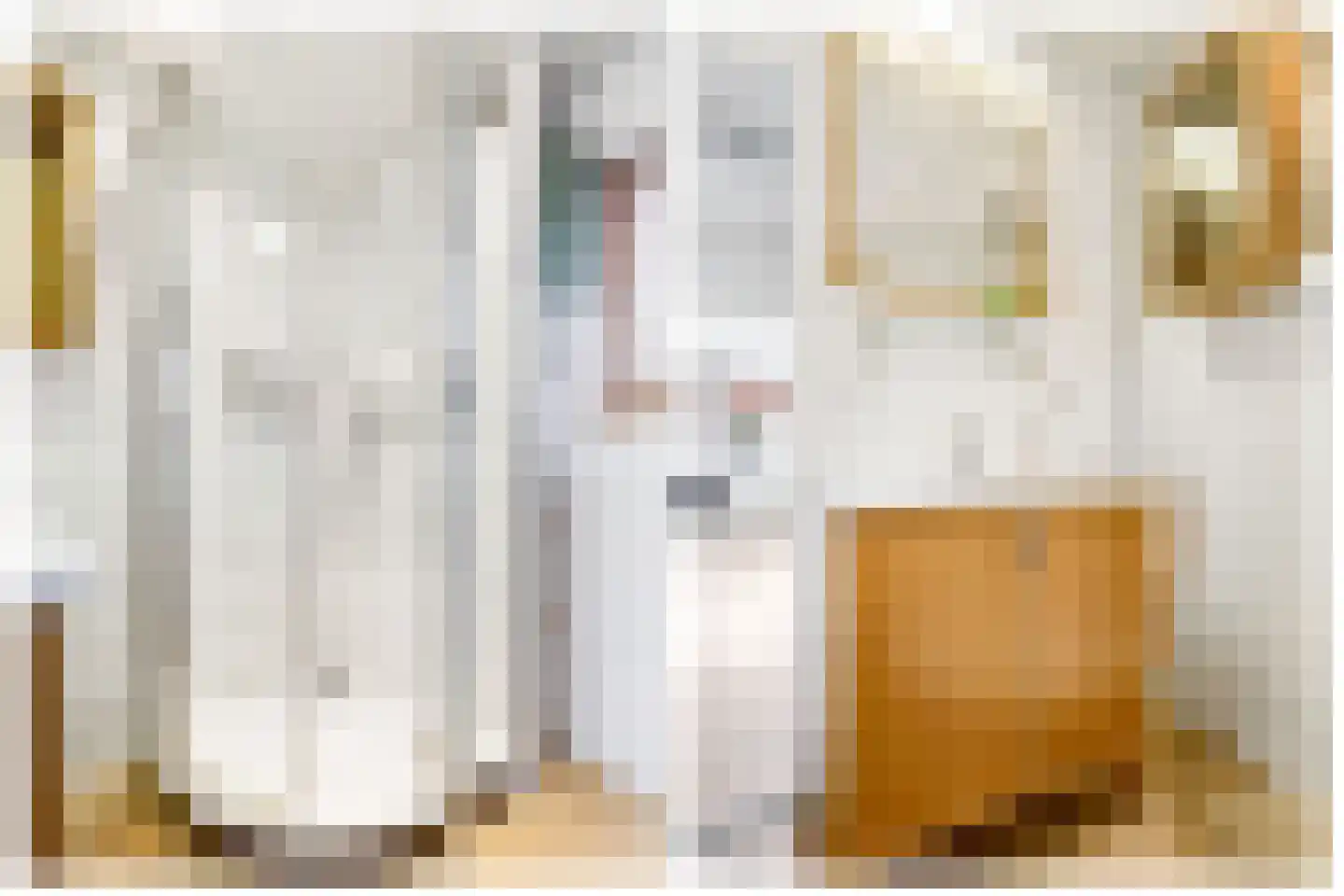Kievitsbloem 6 Odijk thumbnail 29
