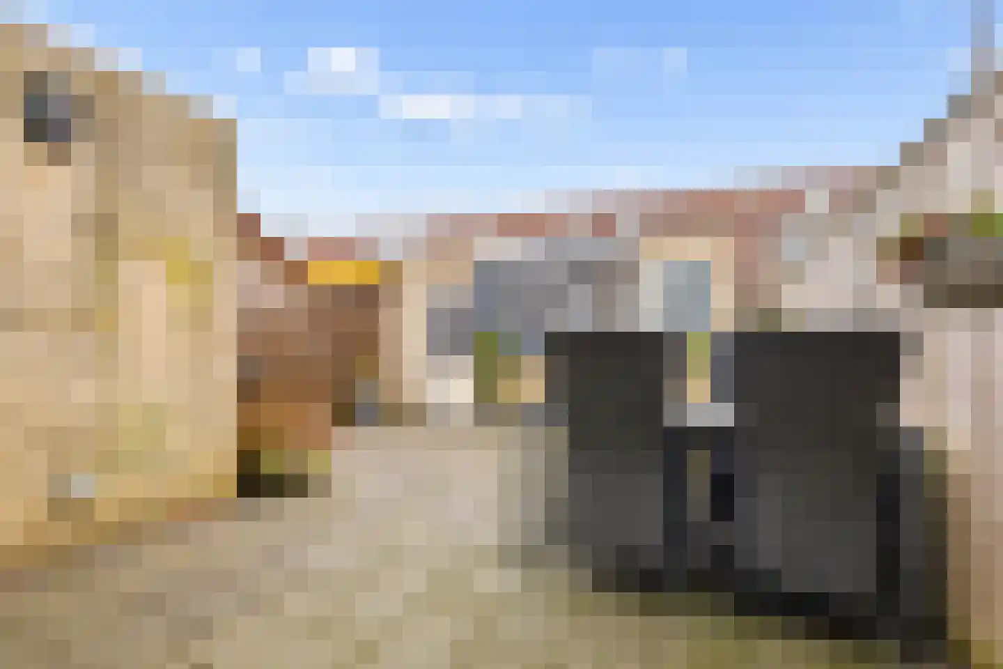 Kievitsbloem 6 Odijk thumbnail 35
