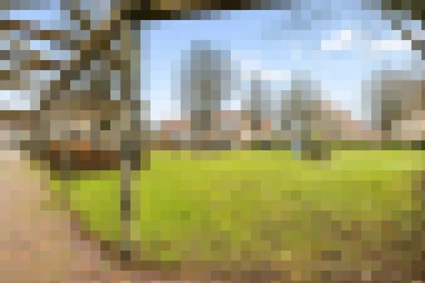 Kievitsbloem 6 Odijk thumbnail 44