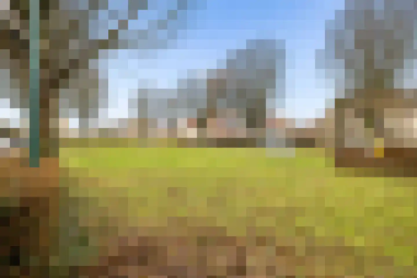 Kievitsbloem 6 Odijk thumbnail 46