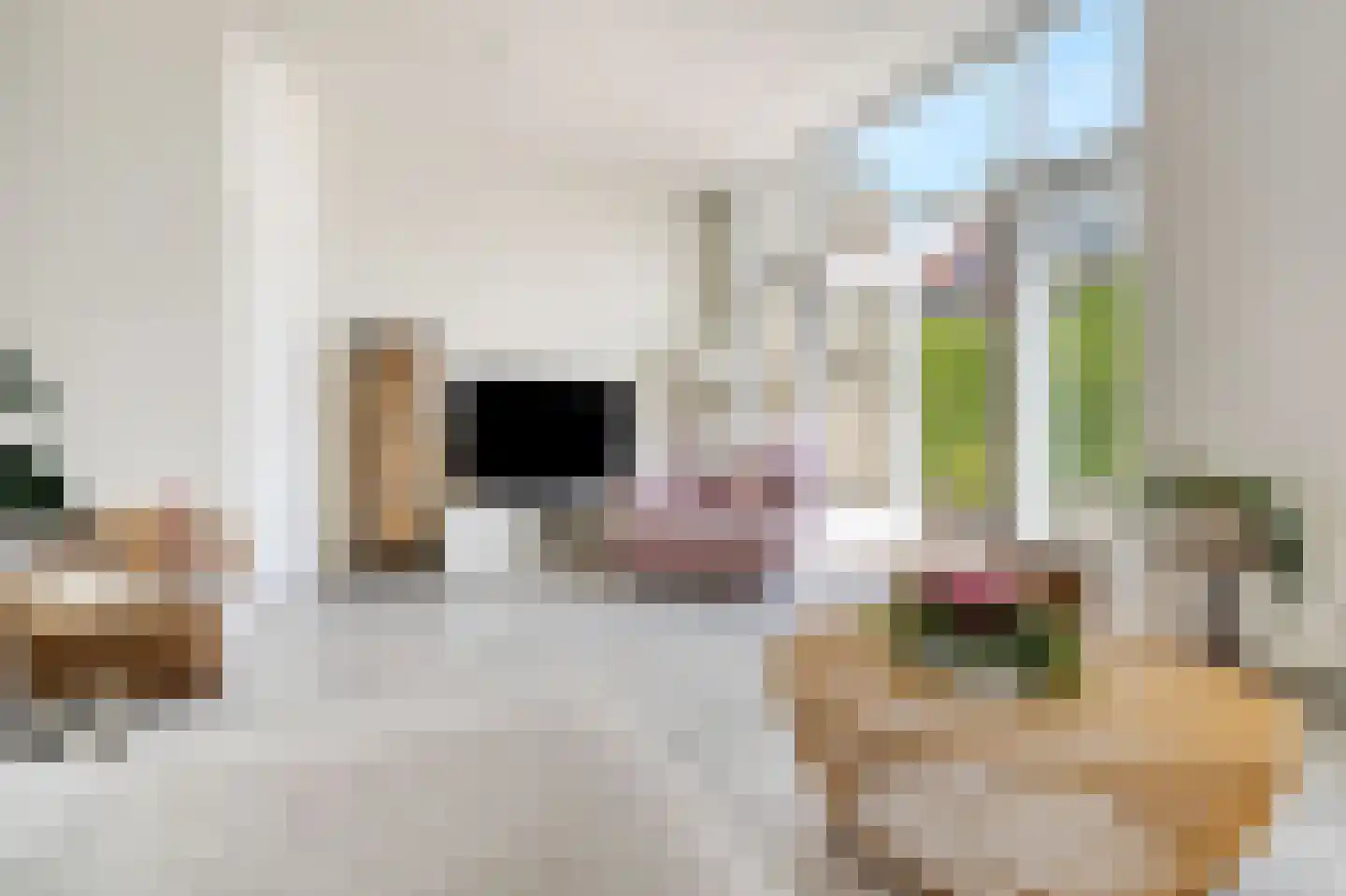 Kievitsbloem 64 Nootdorp thumbnail 11