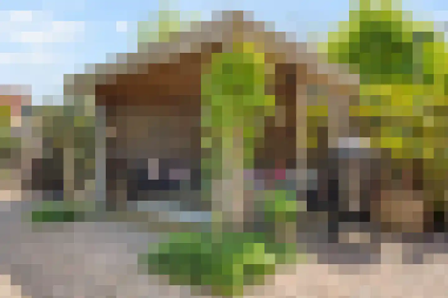 Kievitsbloem 64 Nootdorp thumbnail 13