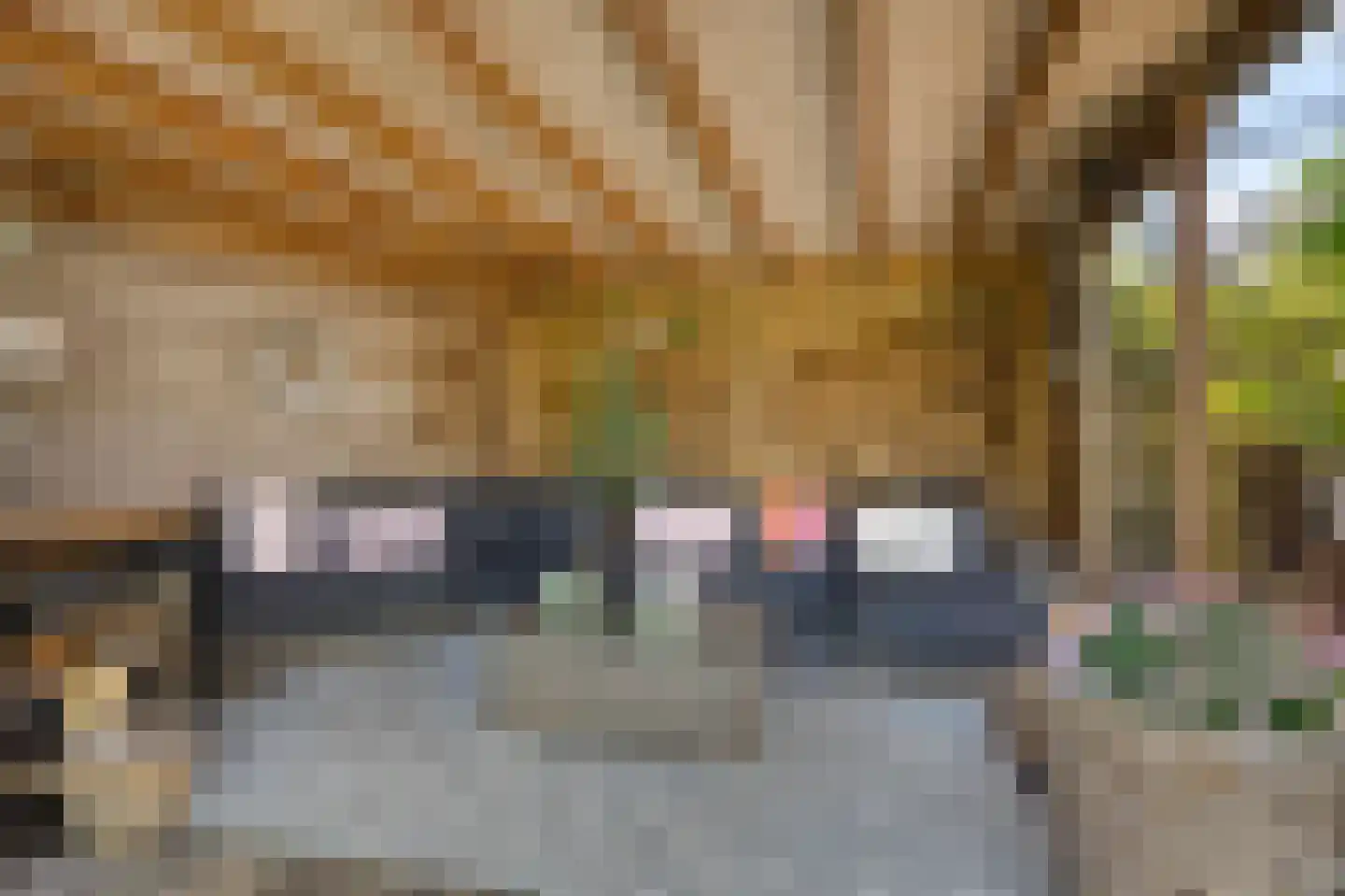 Kievitsbloem 64 Nootdorp thumbnail 14