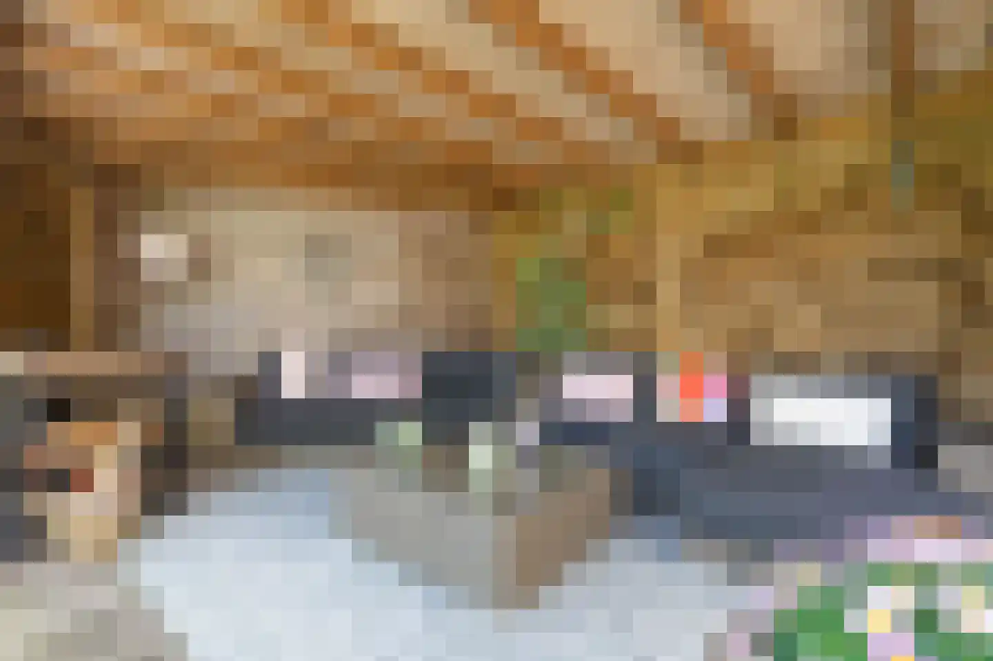 Kievitsbloem 64 Nootdorp thumbnail 15