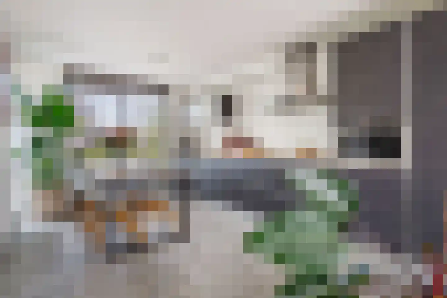 Kievitsbloem 64 Nootdorp thumbnail 20