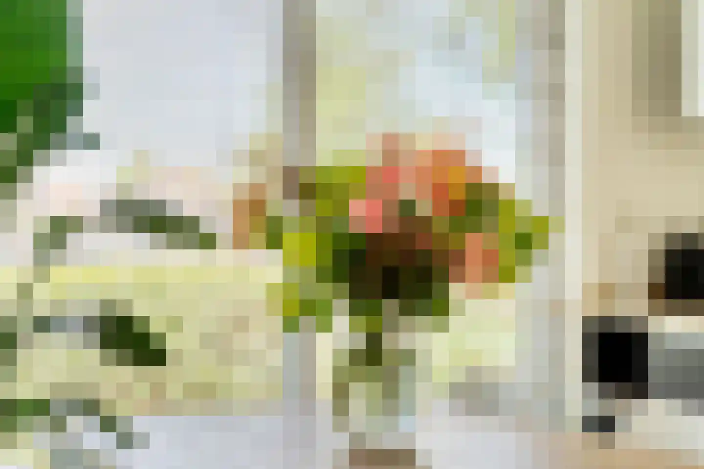 Kievitsbloem 64 Nootdorp thumbnail 21