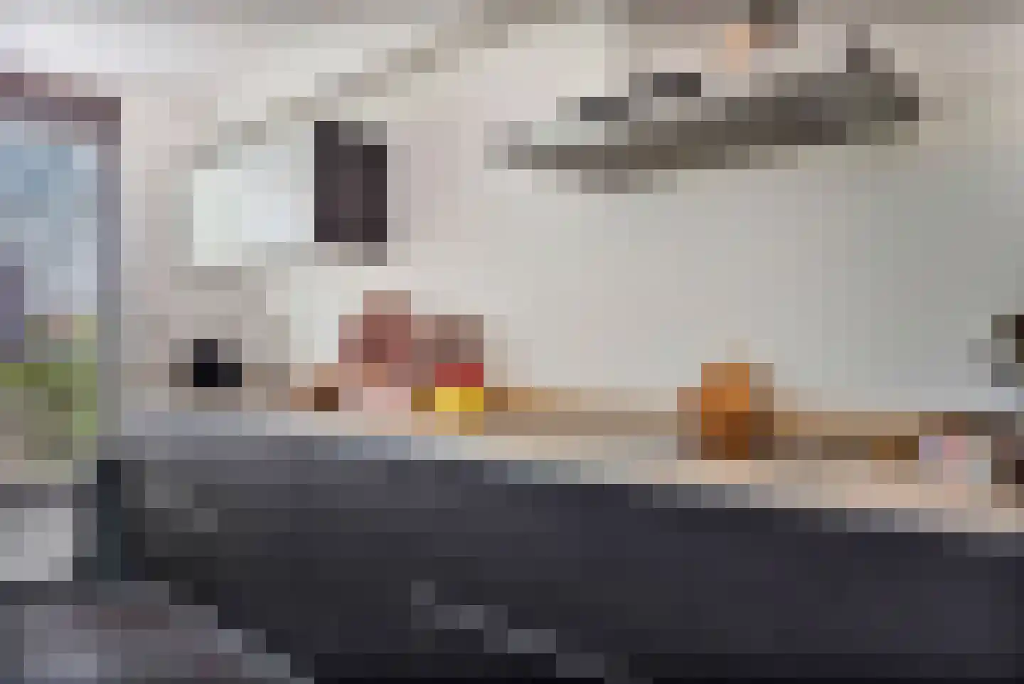 Kievitsbloem 64 Nootdorp thumbnail 22