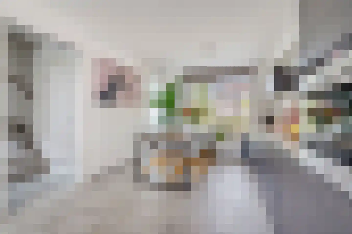 Kievitsbloem 64 Nootdorp thumbnail 24