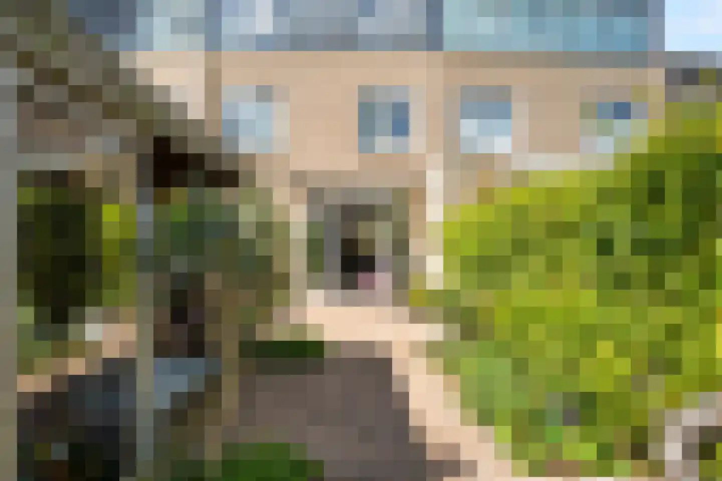 Kievitsbloem 64 Nootdorp thumbnail 4