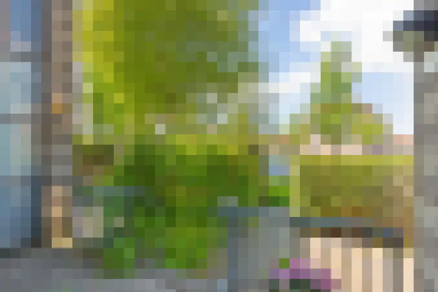 Kievitsbloem 64 Nootdorp thumbnail 45