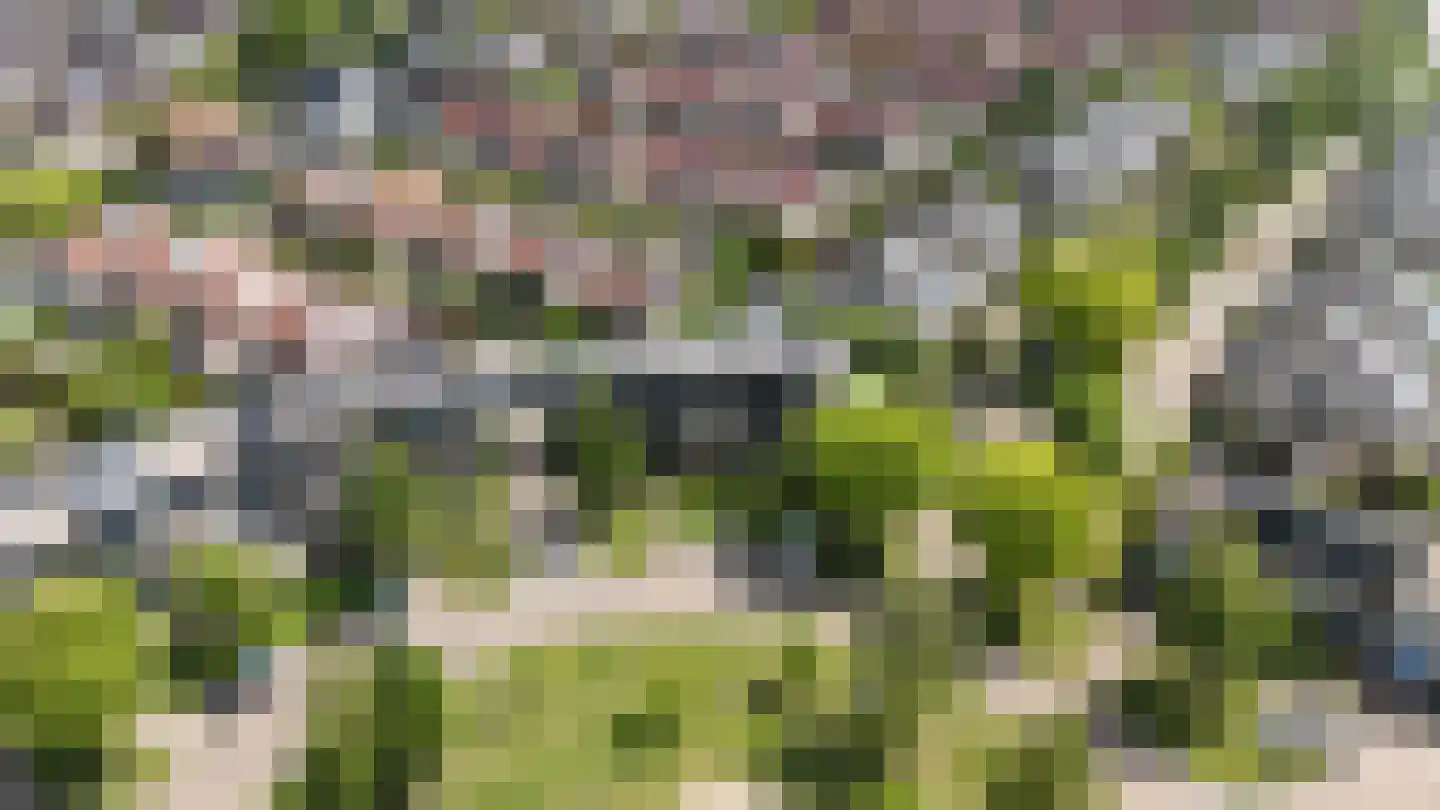 Kievitsbloem 64 Nootdorp thumbnail 47