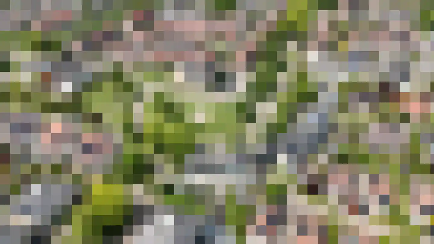 Kievitsbloem 64 Nootdorp thumbnail 5