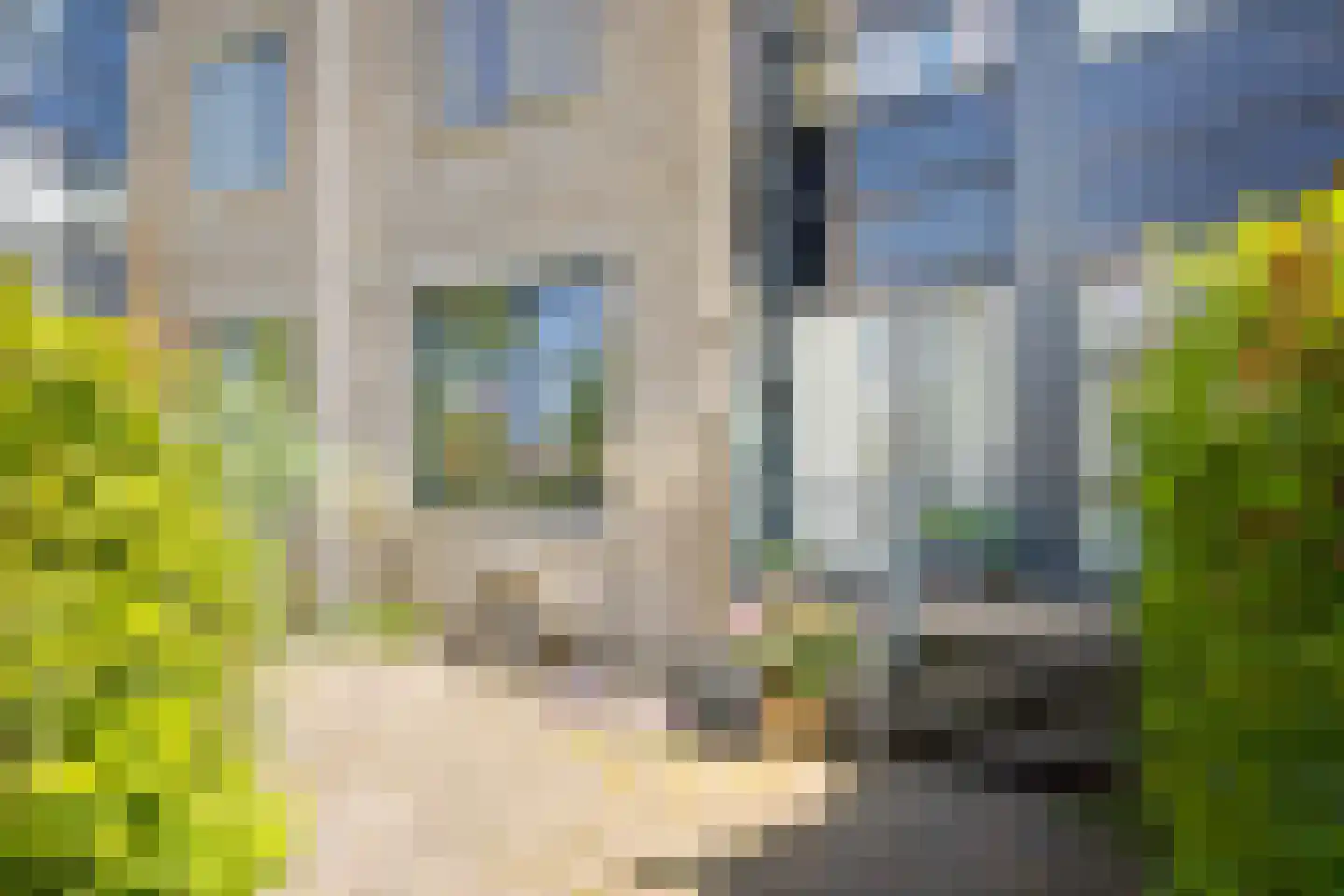 Kievitsbloem 64 Nootdorp thumbnail 7