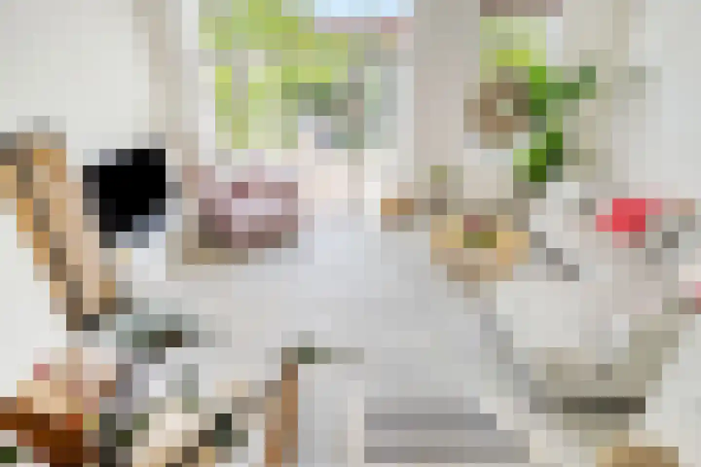 Kievitsbloem 64 Nootdorp thumbnail 9