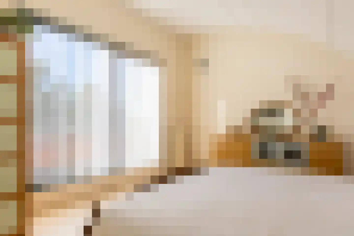 Kievitsbloem 7 Schoonhoven thumbnail 39
