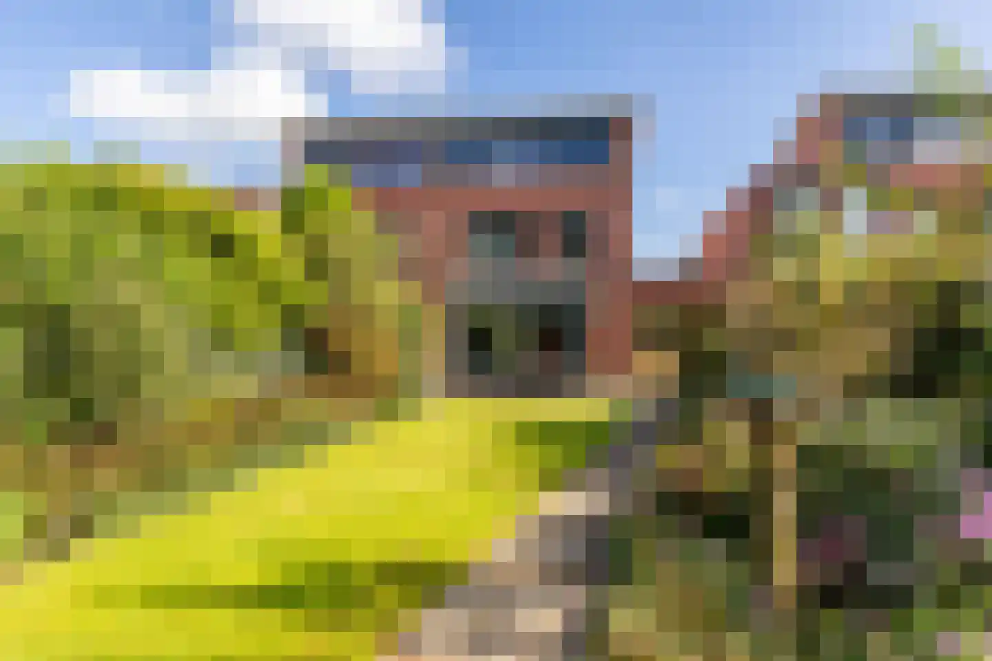 Kievitsbloem 7 Schoonhoven thumbnail 4