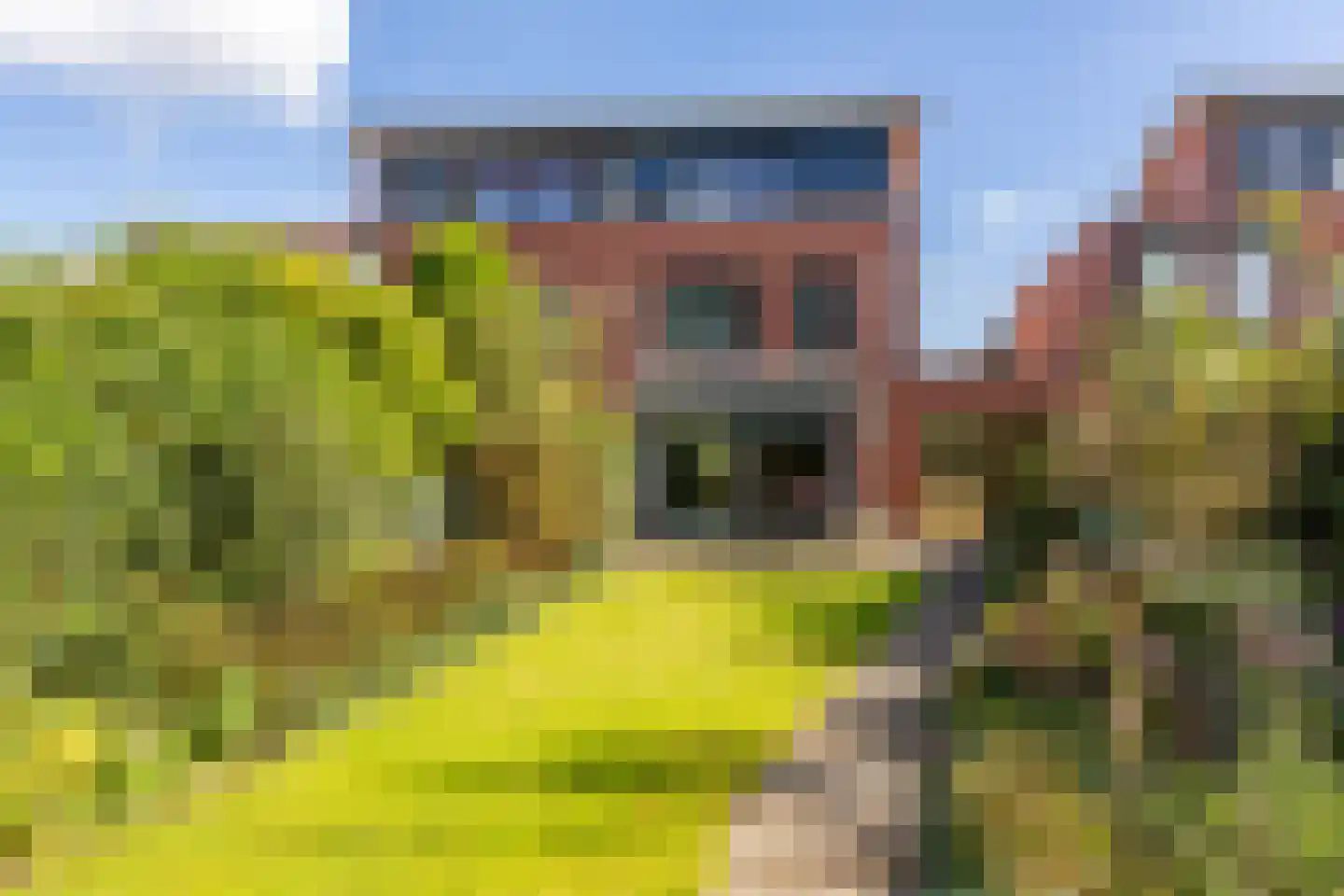Kievitsbloem 7 Schoonhoven thumbnail 41