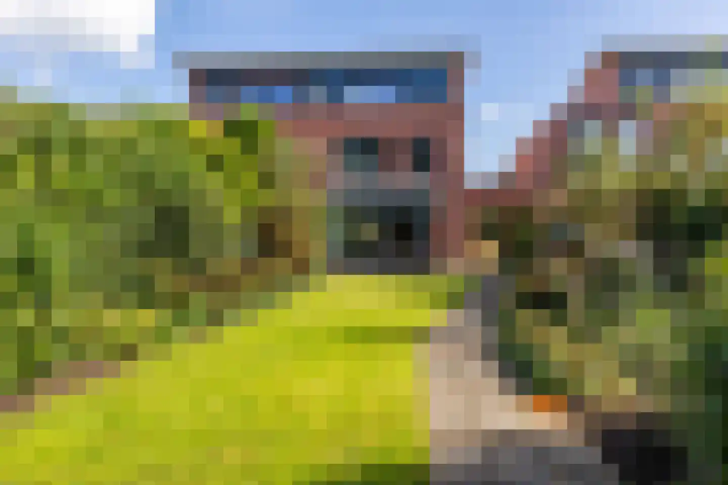 Kievitsbloem 7 Schoonhoven thumbnail 42