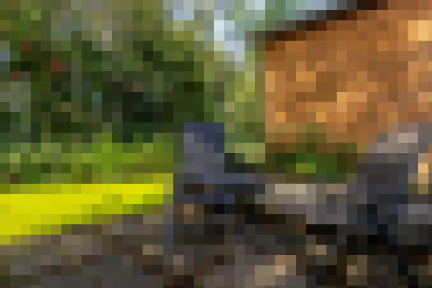 Kievitsbloem 7 Schoonhoven thumbnail 43
